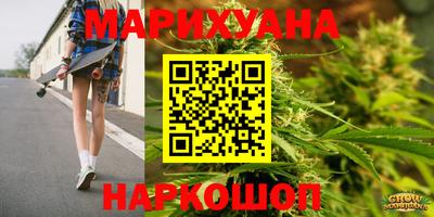 прущие крисы Гай