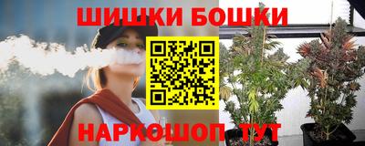 прущие крисы Гай
