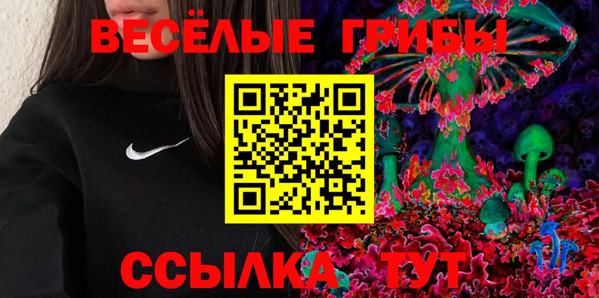 Мариинск  Галлюциногенные грибы Psilocybine cubensis  Вход с VPN 